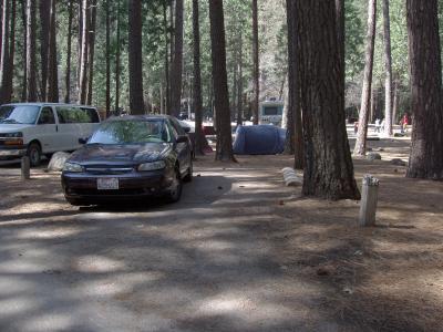 Upper Pines Campsite 229