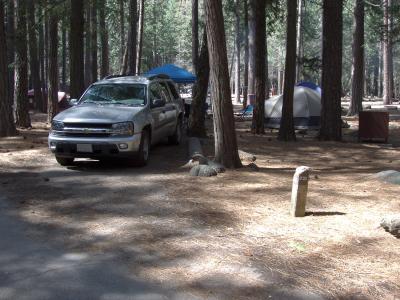 Upper Pines Campsite 231