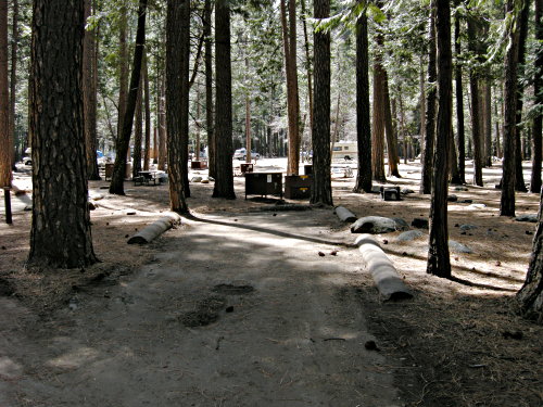 Upper Pines Campsite 233