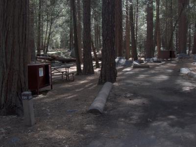 Upper Pines Campsite 236