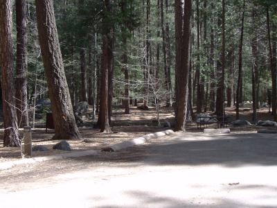Upper Pines Campsite 239