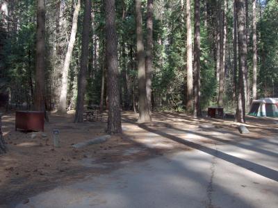 Upper Pines Campsite 29