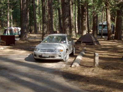 Upper Pines Campsite 31