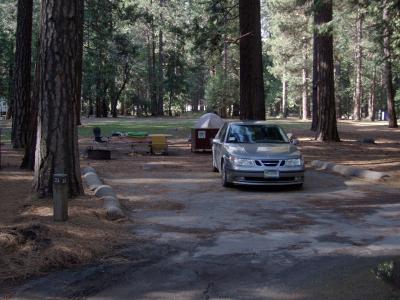 Upper Pines Campsite 33