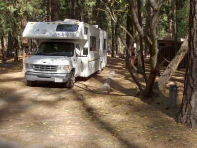 Upper Pines Campsite 38