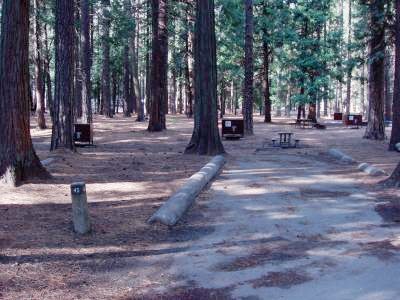 Upper Pines Campsite 45