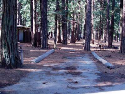 Upper Pines Campsite 48