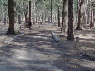 Upper Pines Campsite 49