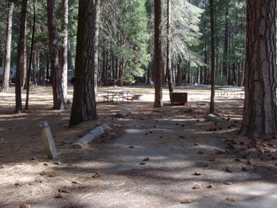 Upper Pines Campsite 55