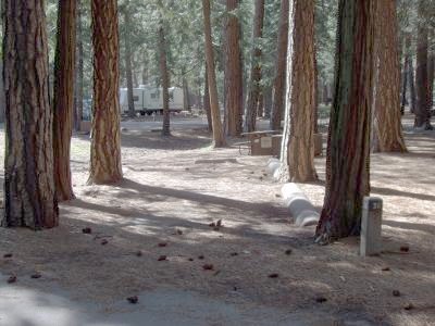 Upper Pines Campsite 56