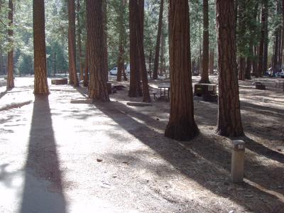Upper Pines Campsite 58