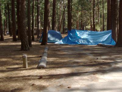 Upper Pines Campsite 59