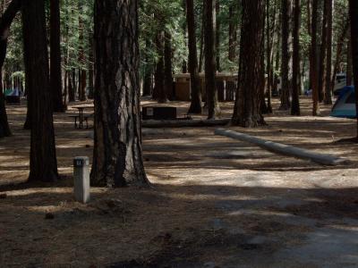 Upper Pines Campsite 61