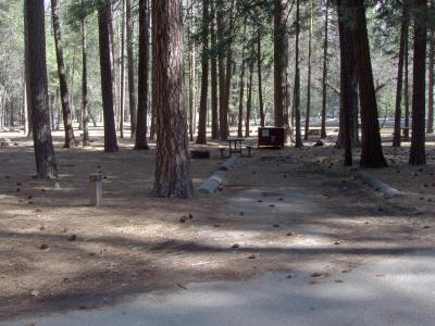 Upper Pines Campsite 7