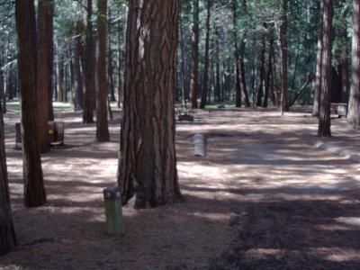 Upper Pines Campsite 78