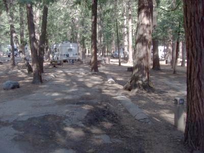 Upper Pines Campsite 81