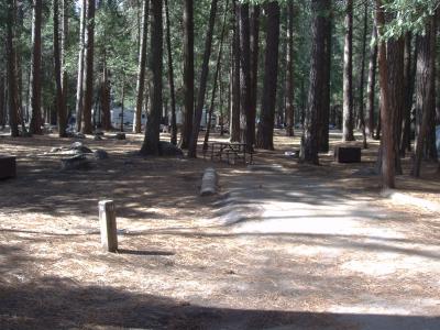 Upper Pines Campsite 91