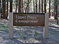Upper Pines