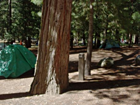 Wawana Campground Site 84