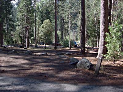 Wawana Campground Site 99